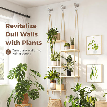 Bamworld Hanging Shelves Plant Hanger Indoor Window Plant Shelves